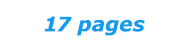 17 pages