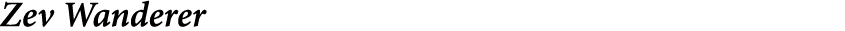 Zev Wanderer
