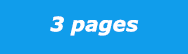 3 pages