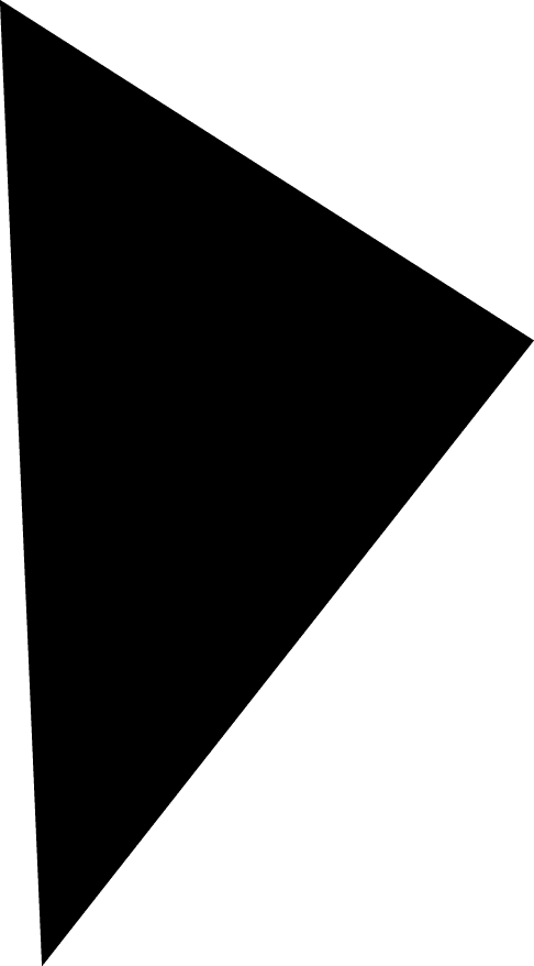 Polygon