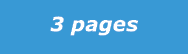 3 pages