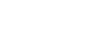 November 2 1920