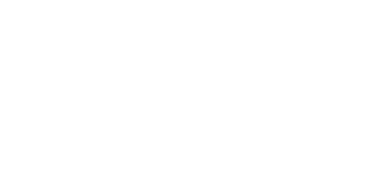 November 19 1925
