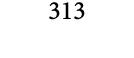 313