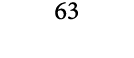 63