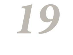 19