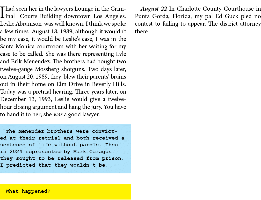 I had seen her in the lawyers Lounge in the Criminal Courts Building downtown Los Angeles. Leslie Abramson was well k...