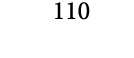 110