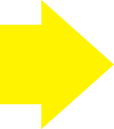 Big Next Page Arrow 