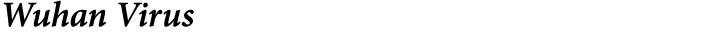 Wuhan Virus