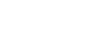 November 19 2019