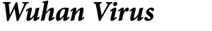 Wuhan Virus