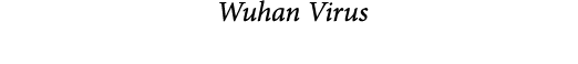  Wuhan Virus