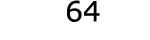  64