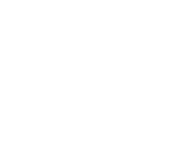 Eduardo J. Soriano Andy Soriano’s son Eduardo has been a Treasurer of A. Soriano Corp. since 1990. Mr. Soriano serves...