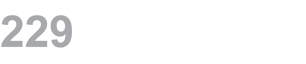 229 