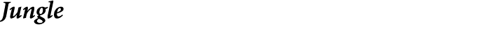 Jungle