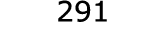 291
