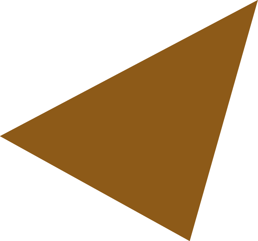 Polygon