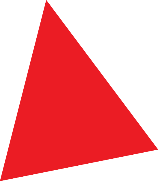 Polygon