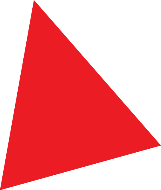 Polygon