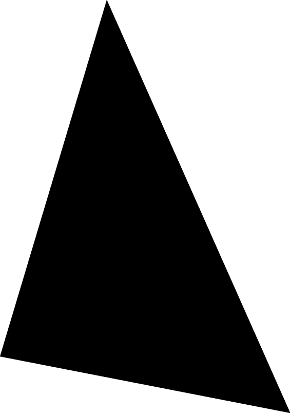 Polygon