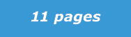 11 pages