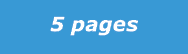 5 pages