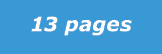 13 pages