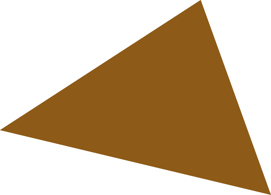 Polygon