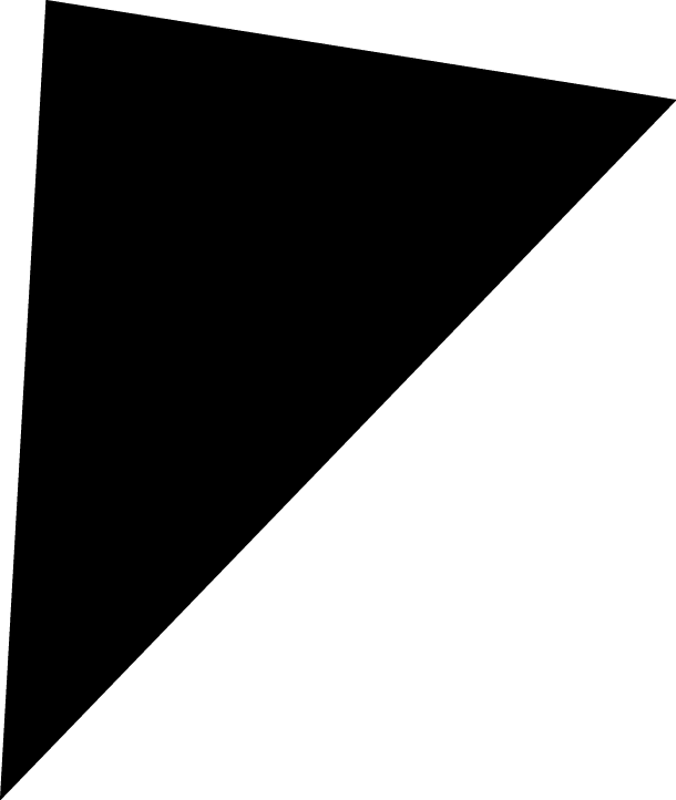 Polygon