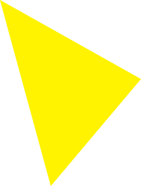 Polygon
