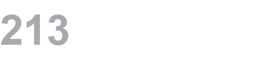 213 