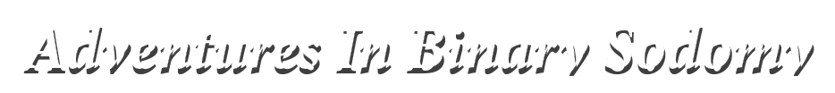 Adventures In Binary Sodomy