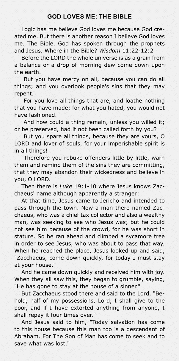 god loves me: THE BIBLE Logic has me believe ﻿God loves me because God created me. But there is another reason I beli...