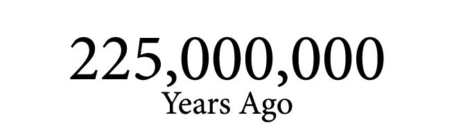  225,000,000 Years Ago