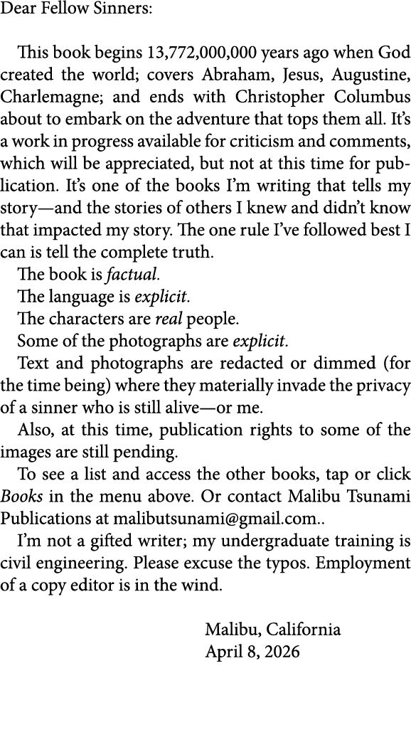 Dear Fellow Sinners: This book begins 13,772,000,000 years ago when God created the world; covers ﻿Abraham, Jesus, Au...
