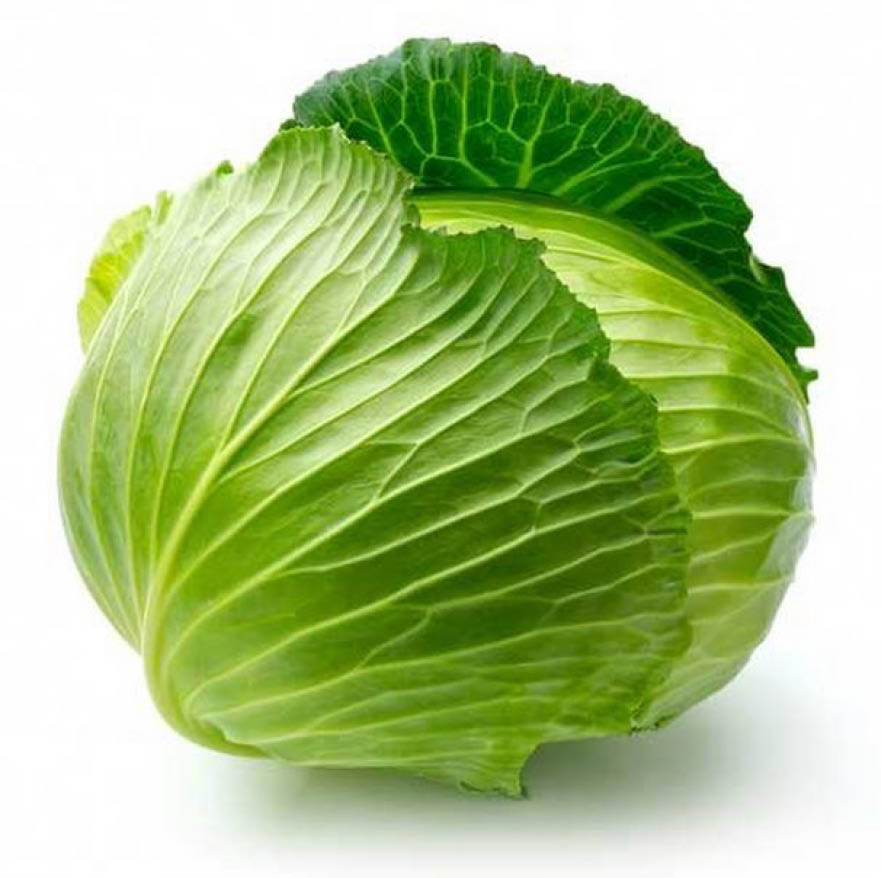 Rectangle