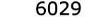  6029