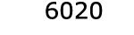  6020