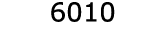  6010