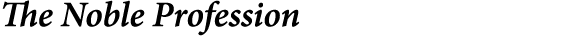 The Noble Profession