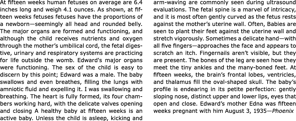 At fifteen weeks human fetuses on average are 6.4 inches long and weigh 4.1 ounces. As shown, at fifteen weeks fetuse...