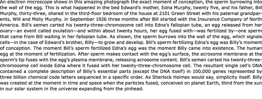 An electron microscope shows in this amazing photograph the exact moment of conception, the sperm burrowing into the ...