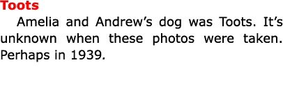 Toots Amelia and Andrew’s dog was Toots. It’s unknown when these photos were taken. Perhaps in 1939. 