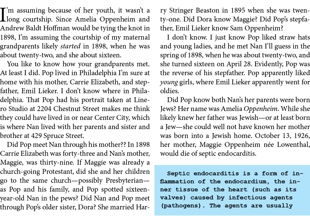 I’m assuming because of her youth, it wasn’t a long courtship. Since ﻿Amelia Oppenheim and ﻿﻿Andrew Baldt Hoffman wou...