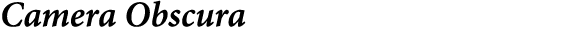 Camera Obscura