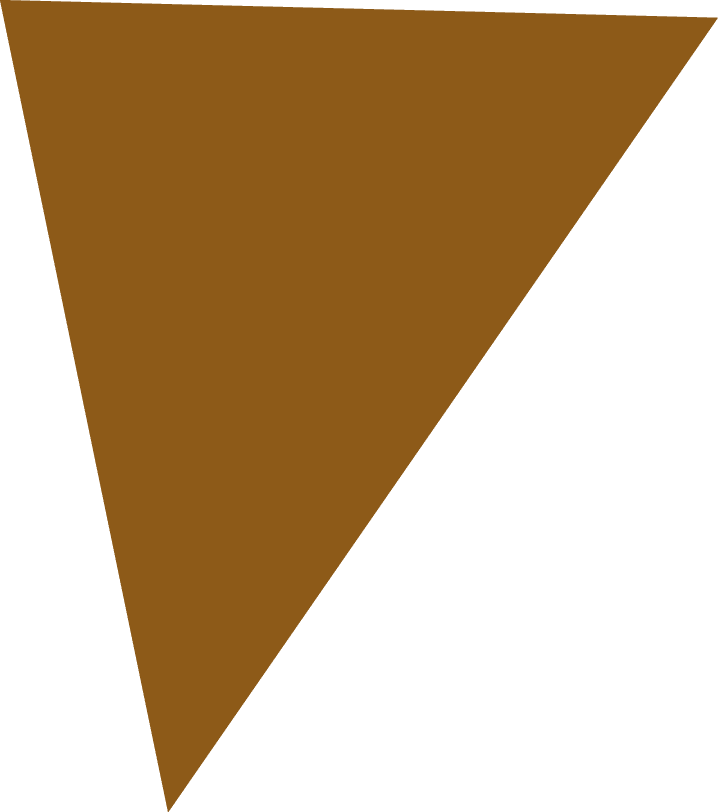 Polygon