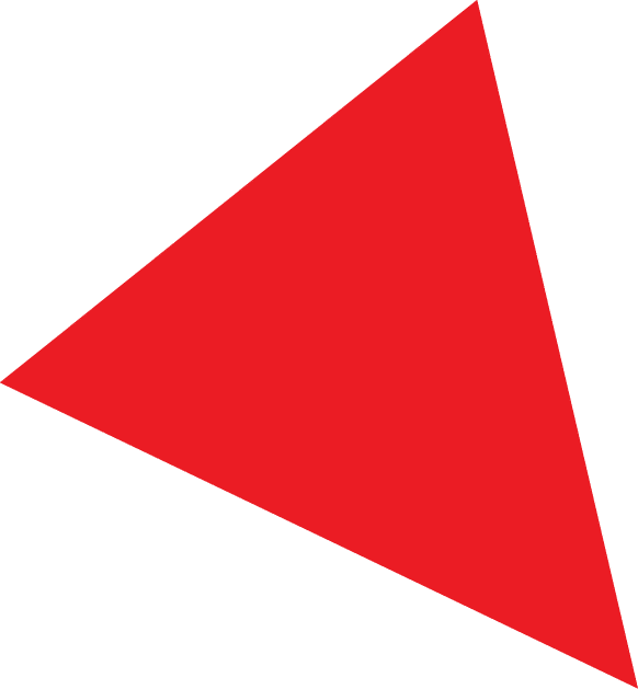 Polygon