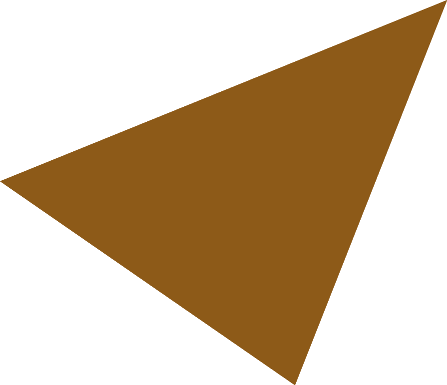 Polygon